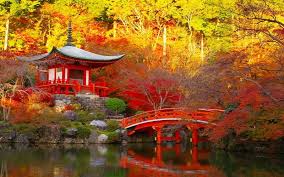  Ngắm vẻ đẹp tuyệt vời của mùa thu ở Nhật Bản