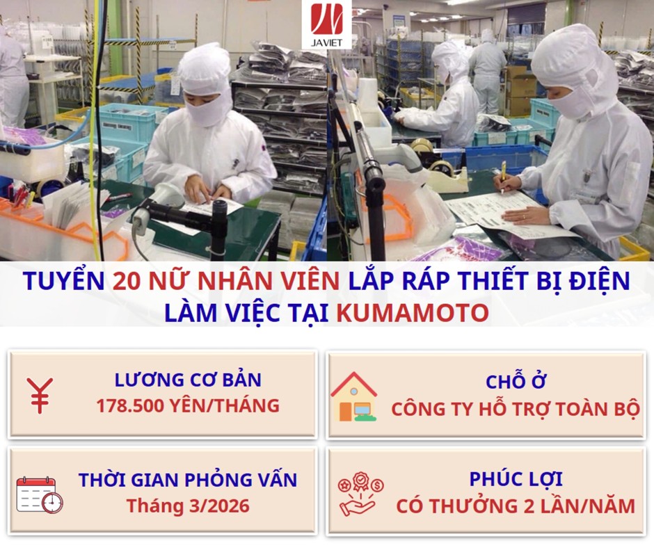 Lắp ráp thiết bị điện - Kumamoto