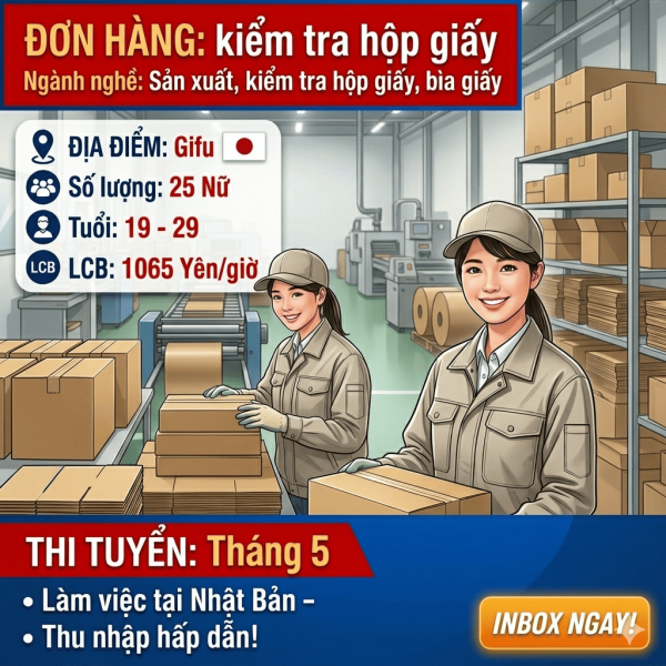 Đóng gói, kiểm tra hộp giấy